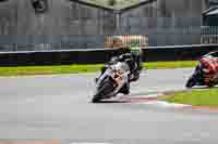 Advanced Group White Bikes